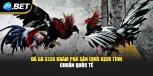 Đá Gà S128 Khám Phá Sân Chơi Kịch Tính Chuẩn Quốc Tế