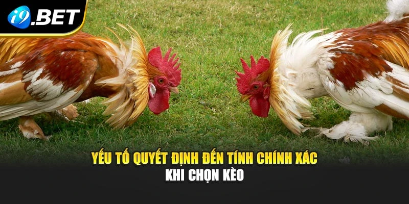 Yếu tố quyết định đến tính chính xác khi chọn kèo